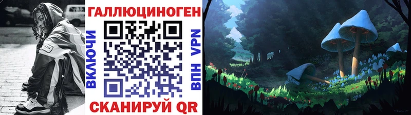 OMG маркетплейс  Закаменск  Галлюциногенные грибы ЛСД 